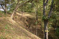 imagen de Terreno en venta, a 4 minutos del Jardin Botanico - Boca de Tomatlan_3