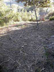 imagen de Venta de Terreno en Sn Sebastian del Oeste_3