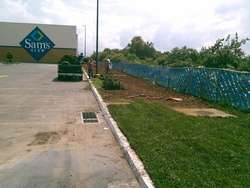 imagen de PASTO EN ROLLO san agustin, bermuda y kikuyo_3