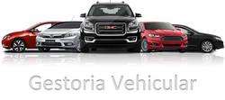 imagen de Tramites vehiculares_3