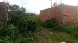 imagen de Vendo o cambio terreno en Tonala_3