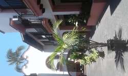 imagen de Apartment For Rent_3