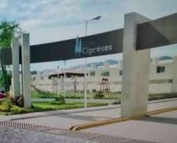 imagen de LOS CIPRESES_3