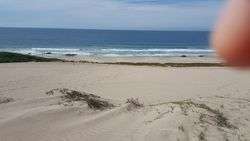 imagen de HECTAREAS A PIE DE PLAYA_3
