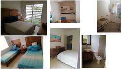 imagen de Departamentos Ciruelos Planta Alta_3