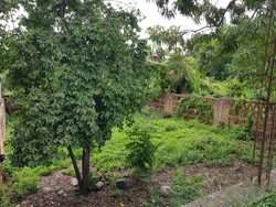 imagen de TERRENO EN VENTA EN MEZCALES!!!_3