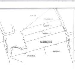 imagen de VENTA 2 HAS DE TERRENO EL TEJOCOTE, TEQUISQUIAPAN._3