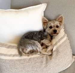 imagen de $20 MIL PESOS RECOMPENSA $_3