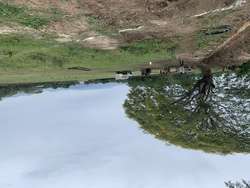 imagen de ?Oportunidad!_3