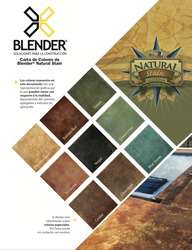 imagen de OXIDANTE PARA CONCRETO_3
