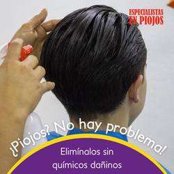 imagen de ESPECIALISTAS EN PIOJOS GUADALAJARA ZAPOPAN_3