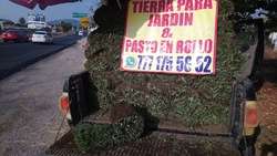 imagen de Estas buscando pasto en rollo de buena calidad?_3