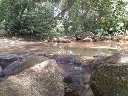 imagen de Terreno en venta en el Tuito, Jalisco._3