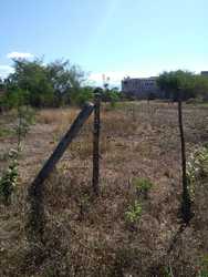 imagen de TERRENO EN VENTA_3