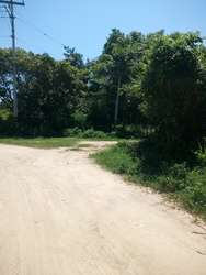 imagen de TERRENO EN VENTA EN EL COLORADO_3