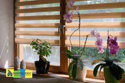 imagen de PERSIANAS SOBRE DISEÑO_3