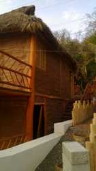 imagen de PALAPAS DE PALMA NATURAL _3