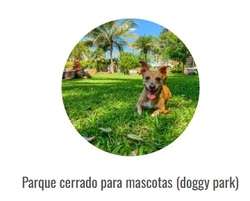 imagen de Servicios_3