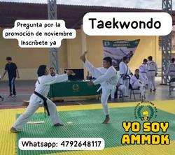 imagen de TAEKWONDO MDK _3