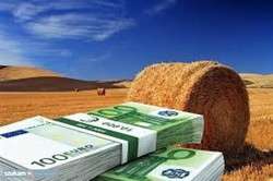 imagen de  Get A Business Loan Today_3