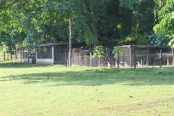 imagen de RANCHO EN VENTA EL ZANCUDO_3