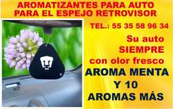 imagen de AROMATIZANTES PARA AUTO PERSONALIZADOS SI SE USAN_3