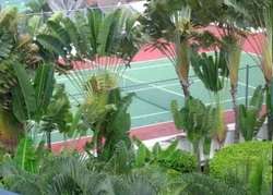 imagen de Club Nautico Royal Pacific_3