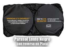 imagen de PARASOLES PARA COSTADOS DE AUTO PARA TUS CAMPAÑAS_3