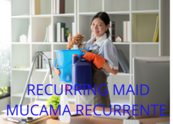 imagen de LAVADO DE COLCHONES Y SALAS_3