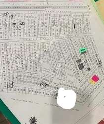 imagen de  terreno a 5 minutos de los ayalas Nayarit _3