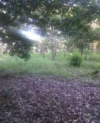 imagen de Venta de Fincas en todo el pais!_3