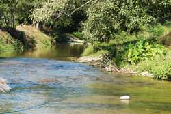 imagen de Terrenos Campestres para Cabanas_4