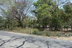 imagen de TERRENO SOBRE LA CARRETERA LAS JUNTAS-LAS PALMAS _4