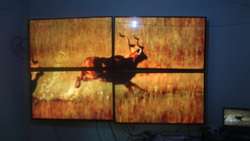 imagen de Pantalla LG 200_4