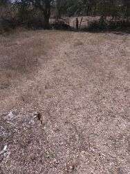 imagen de VENTA TERRENO EN IXTAPA PUERTO VALLARTA_4