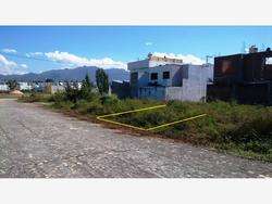 imagen de Venta de terreno Valle del Mar_4