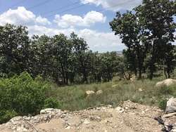 imagen de Terrenos Frente Al Bosque Del Nixticuil_4