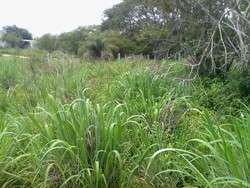 imagen de Terreno Gavilanes 2_4