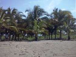 imagen de Lote de playa EN PLAYA TORTUGAS NAY._4