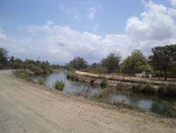 imagen de Terreno 11 Hectareas_4