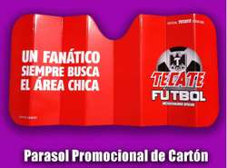 imagen de PARASOLES PARA AUTO_4