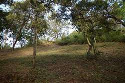 imagen de Terreno en venta, a 4 minutos del Jardin Botanico - Boca de Tomatlan_4