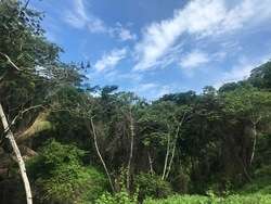 imagen de Terrenos para cabanas_4