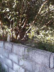 imagen de Venta de Terreno en Sn Sebastian del Oeste_4