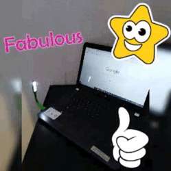 imagen de Fundas para celular contra el agua menudeo/mayoreo_4