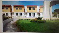 imagen de LOS CIPRESES_4