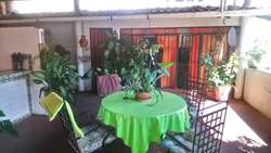 imagen de EDIFICIO GUADALUPE SANCHEZ_4