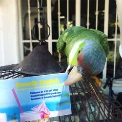 imagen de Tutor profesional de ingles _4