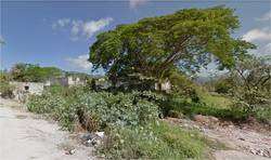 imagen de Terreno en venta en El Progreso_4