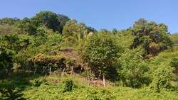 imagen de terreno en el ranchito 26x35 910 mts_4